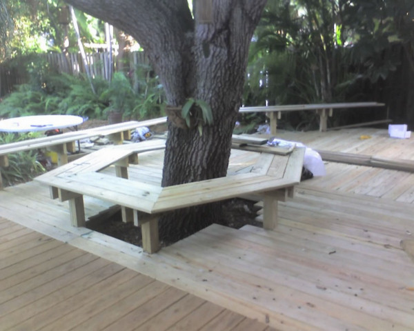 Wood deck wrapped around tree