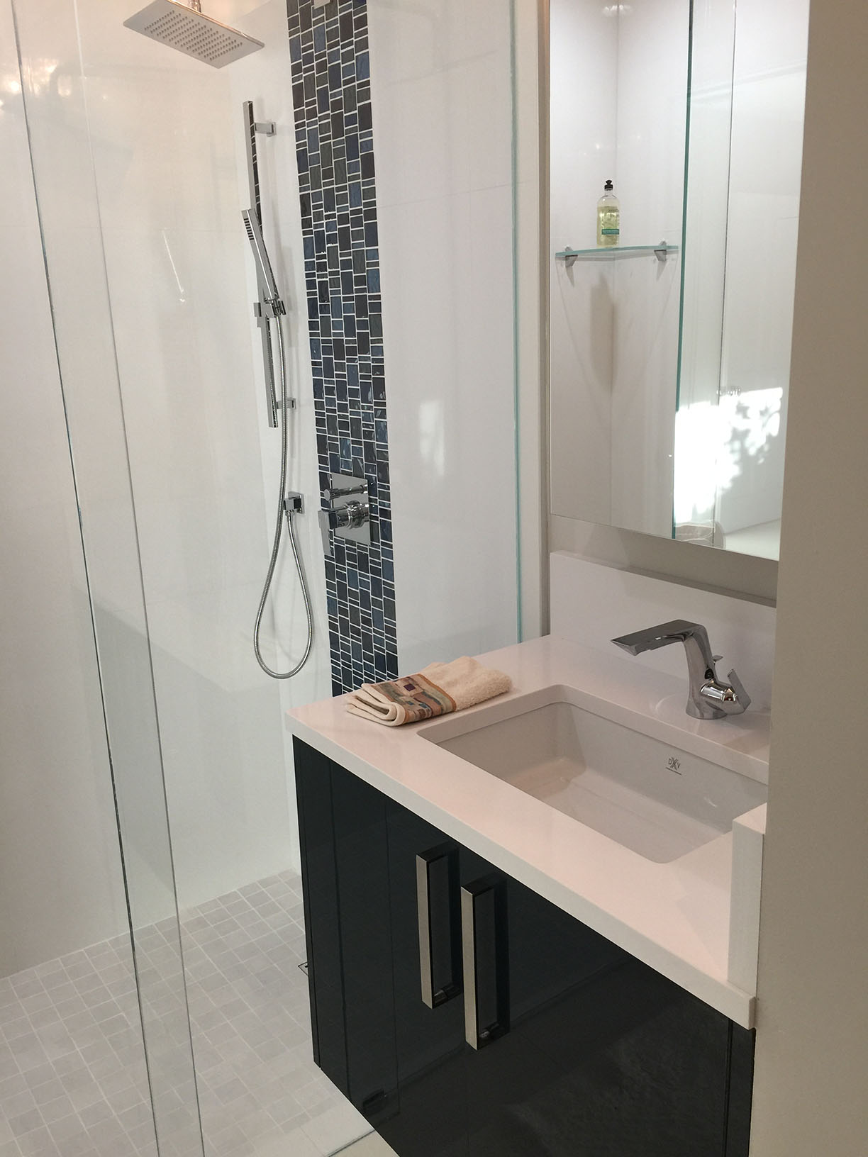 Small Bathroom Remodel in Palmetto Bay — Miami General Contractor